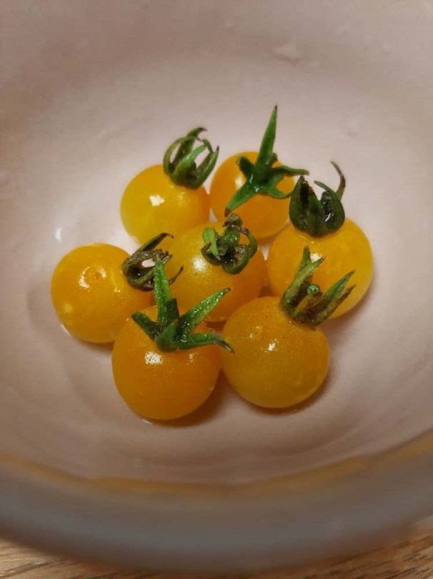 Champagne Cherry paradicsom - Paradicsom különlegességek az Egzotikus Növények Stúdiója kínálatából